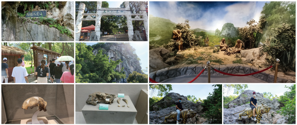 聲菲特團(tuán)隊(duì).png 聲菲特團(tuán)隊(duì).png